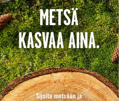 S-PANKIN METSÄRAHASTO
